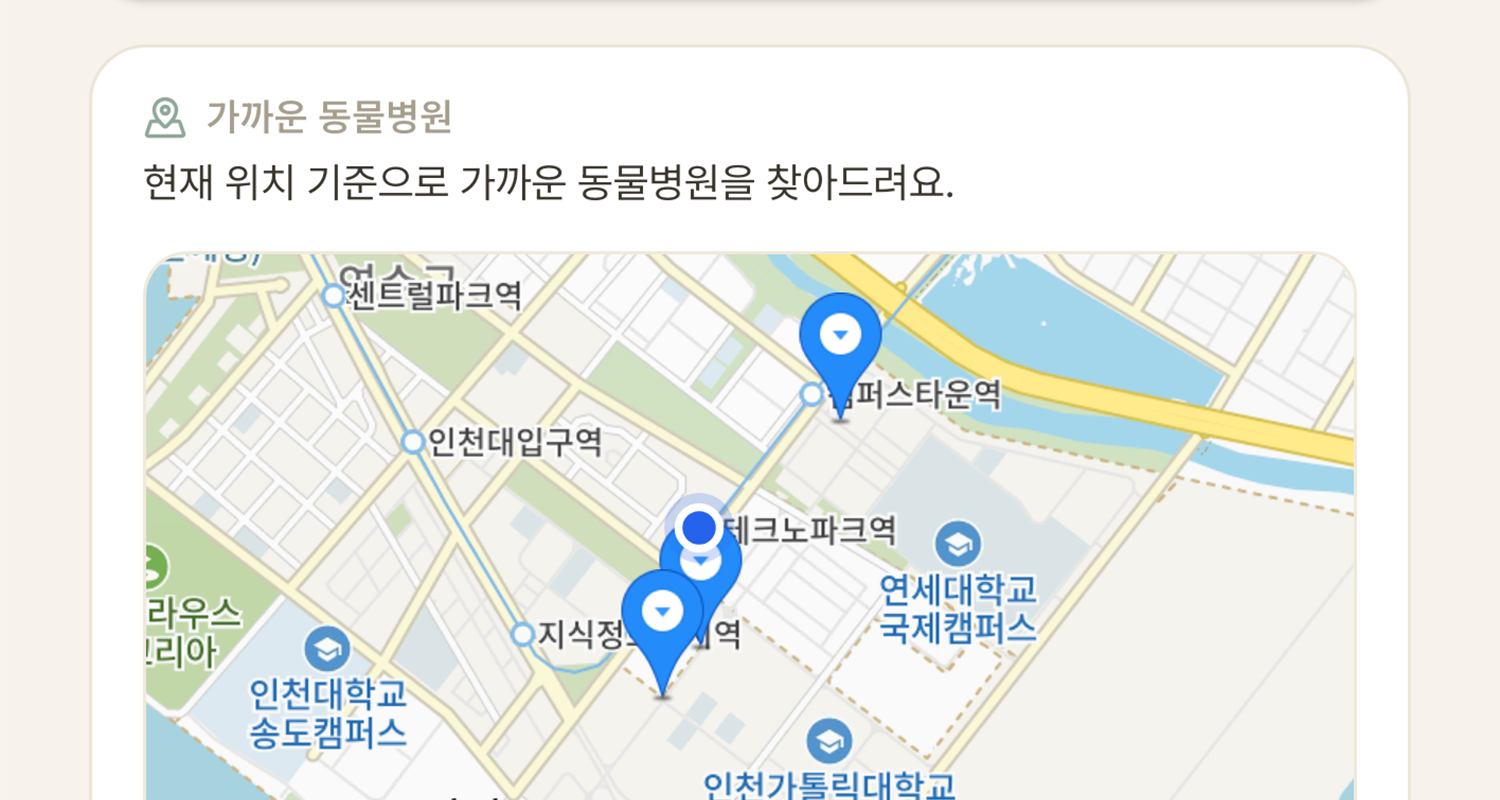 현재 위치에서 가까운 동물병원을 확인하는 펫 정보 페이지